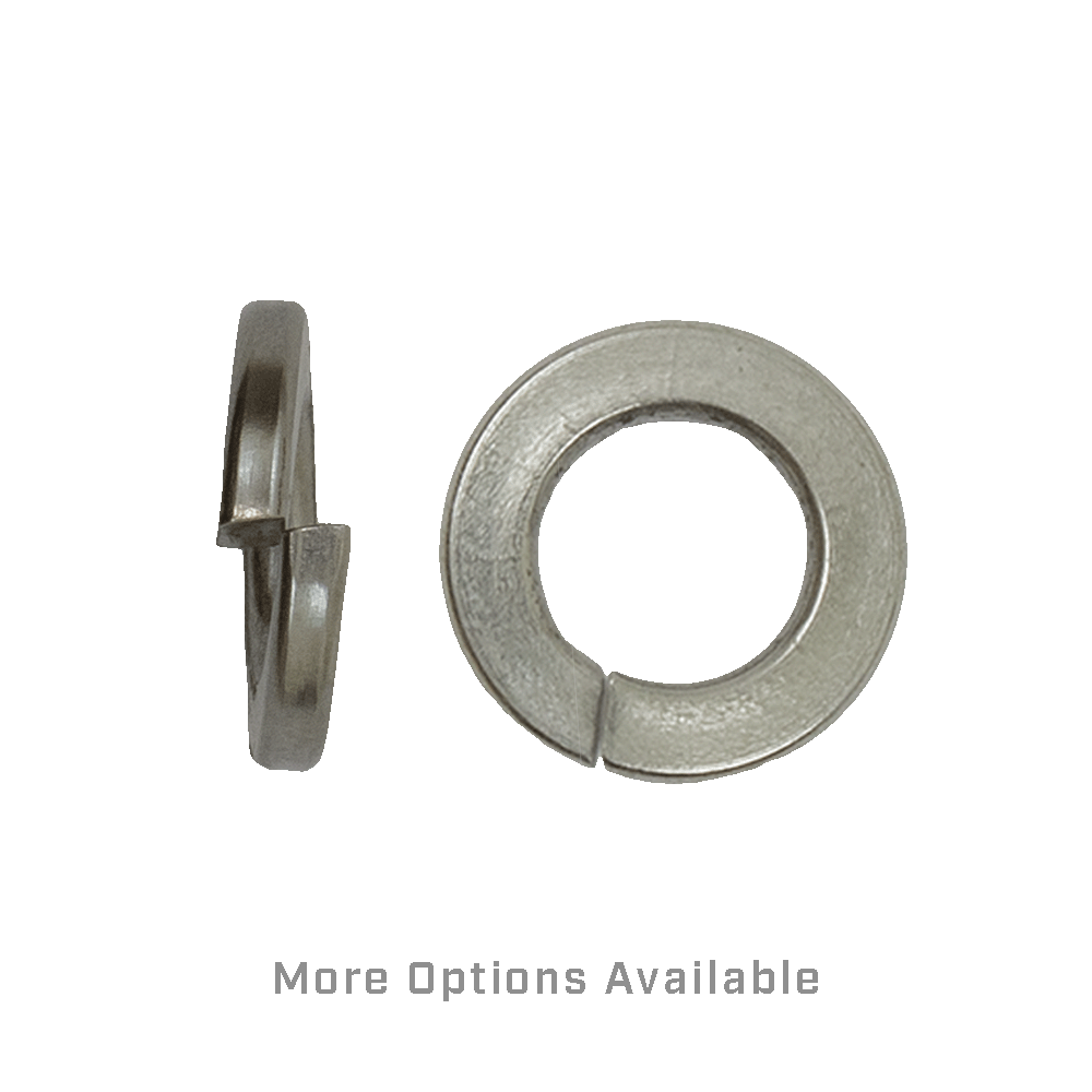 Spring Lock Washer 18.8 SS