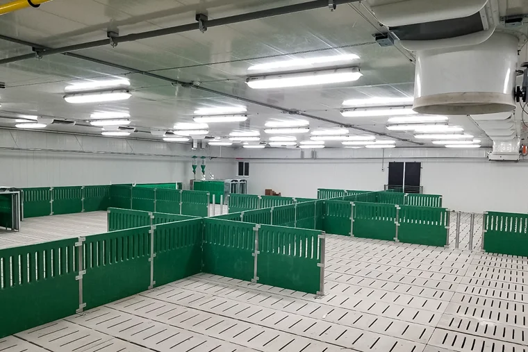 Equipment installation at a livestock facility
