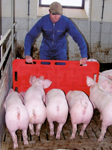 Swine 2-Way Sorting Panel - 30" x 38" Pig Herding Chase Board